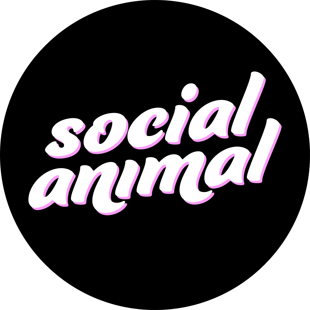 Social Animal - Official Store & Project