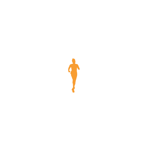 The Miles We Run: Lessons from the Arena of Resilience (Alison Beder Solway)